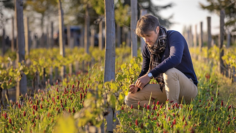 2022 Bordeaux: An Instant Classic