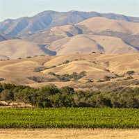 Foxen's Tinaquaic Vineyard in California's Santa Maria Valley96-Point Rhônes, Classic-Rated Super Tuscans and Zinfandels