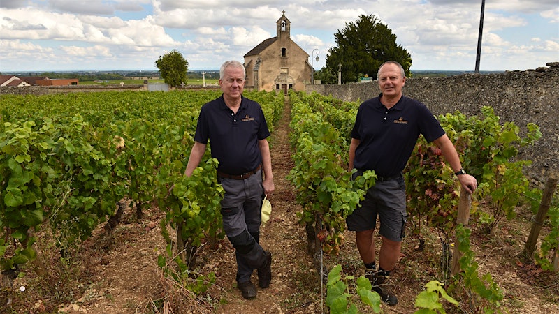 Now That U.S. Tariffs Are in Place, French Wineries Are Calculating Survival