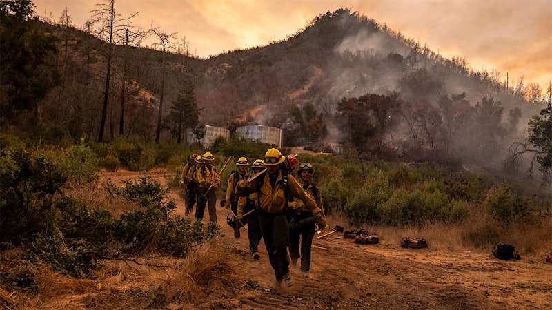 Firefighters and Favorable Weather Slow Pickett Fire in Napa as Investigators Look at Possible Spark in Vineyard