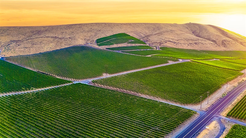 Exclusive: Quilceda Creek Buys Washington State Vineyard from Duckhorn