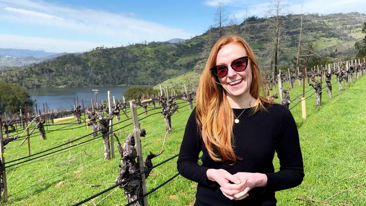 In the Vineyard, and Under Cover at Burgess Cellars