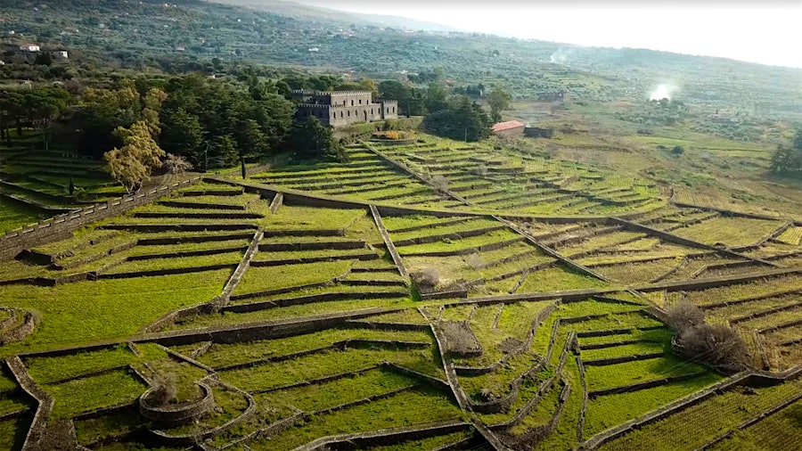 In the mid-1800s, Castello Solicchiata's vineyards were planted and its winery was built by the current owner’s great-great-grandfather.