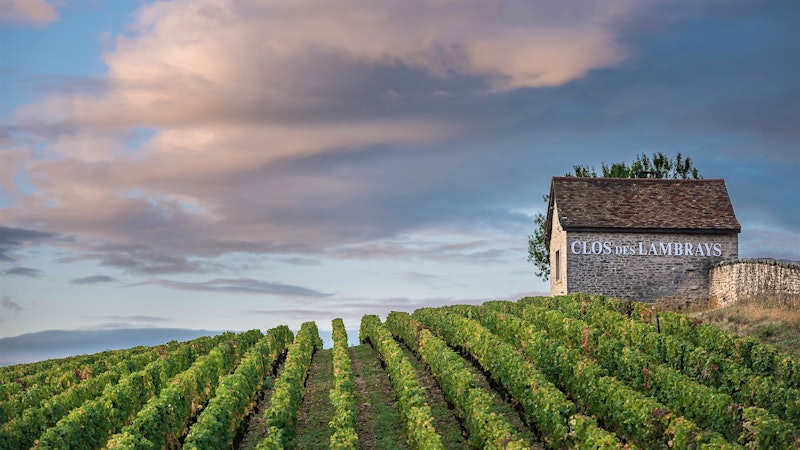 Alphabetical Guide to Red Burgundy