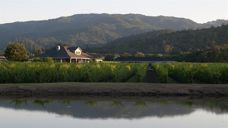 Don’t Sleep on Saint Helena Winery’s Napa Cabernets