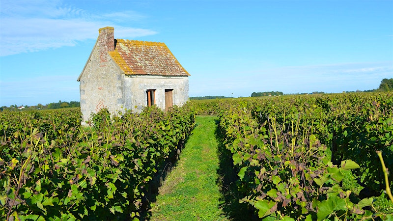 8 Stunning Montlouis White Wines Up to 93 Points