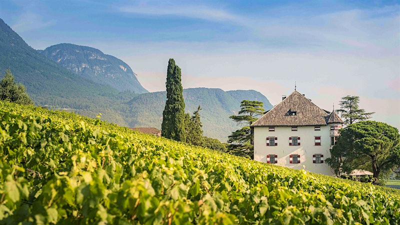 12 Refreshing Alto Adige Whites Up to 92 Points