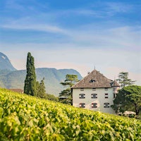 Elena Walch produces several impressive white wines that showcase the range and quality of Alto Adige.12 Refreshing Alto Adige Whites Up to 92 Points
