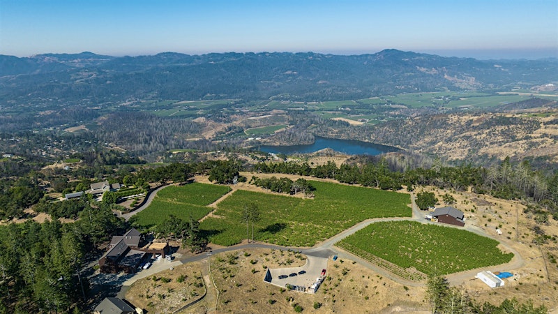Alphabetical Guide to California Sauvignon Blanc