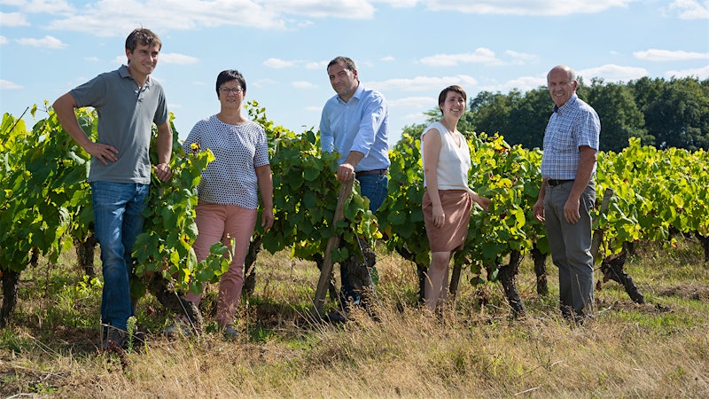 Meet the Muscadet Elite